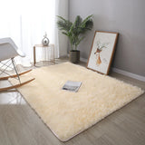 Fluffy Large Size Rugs