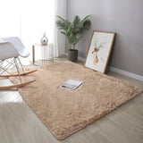 Fluffy Large Size Rugs