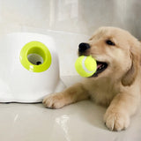 AUTOMATIC PET TENNIS LAUNCHER