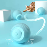 SMART ROLLING BALL TEASING TOY