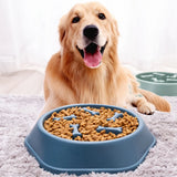 SLOW FEEDER BONE DESIGN PET BOWL