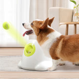 AUTOMATIC PET TENNIS LAUNCHER