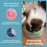 SLOW FEEDER BONE DESIGN PET BOWL