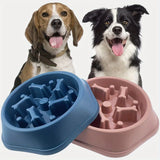 SLOW FEEDER BONE DESIGN PET BOWL